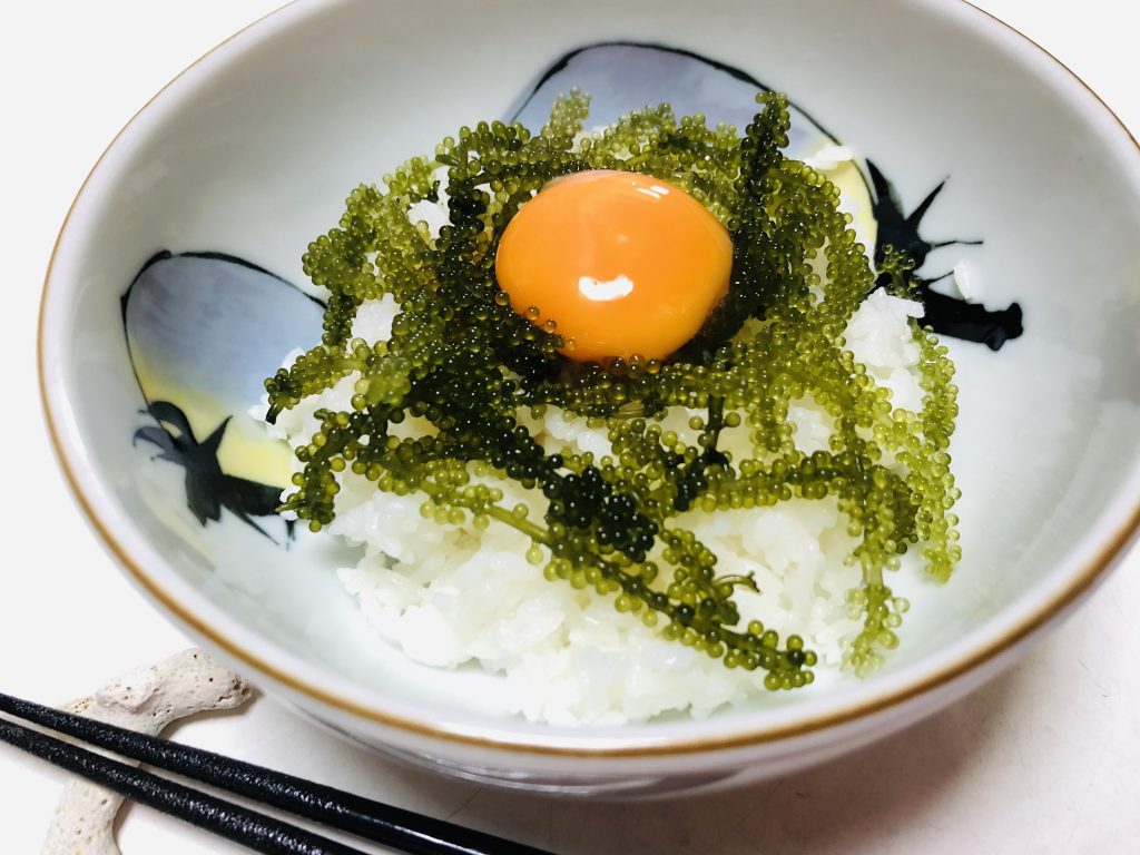 今が旬 子どもも飛びつく 海ぶどう プチプチの食感が一度食べたら忘れられない E No